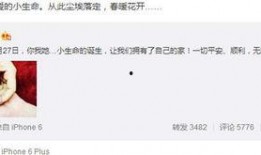 明星资讯是什么意思,揭秘娱乐圈最新动态